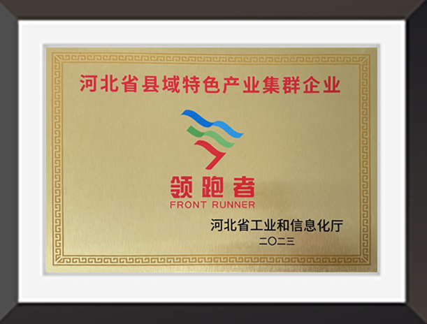 河北省首批县域特色产业集群“领跑者”企业